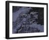 Climbing Upthe North Face of Eiger, Switzerland-Michael Brown-Framed Photographic Print