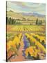 Cline Golden Harvest-Kay Carlson-Stretched Canvas