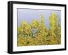 Clinging Vines-Allan Friedlander-Framed Art Print