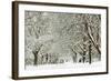 Clinging-David Baker-Framed Photographic Print