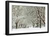 Clinging-David Baker-Framed Photographic Print