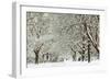 Clinging-David Baker-Framed Photographic Print