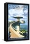 Clingmans Dome - Great Smoky Mountains National Park, TN-Lantern Press-Framed Stretched Canvas