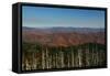 Clingmans Dome panorama, Smoky Mountains National Park, Tennessee, USA-Anna Miller-Framed Stretched Canvas