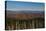 Clingmans Dome panorama, Smoky Mountains National Park, Tennessee, USA-Anna Miller-Stretched Canvas