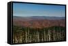 Clingmans Dome panorama, Smoky Mountains National Park, Tennessee, USA-Anna Miller-Framed Stretched Canvas