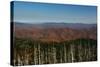 Clingmans Dome panorama, Smoky Mountains National Park, Tennessee, USA-Anna Miller-Stretched Canvas