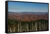 Clingmans Dome panorama, Smoky Mountains National Park, Tennessee, USA-Anna Miller-Framed Stretched Canvas