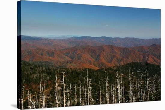 Clingmans Dome panorama, Smoky Mountains National Park, Tennessee, USA-Anna Miller-Stretched Canvas