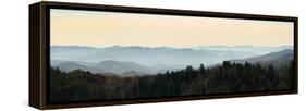 Clingmans Dome panorama, Smoky Mountains National Park, Tennessee, USA-Anna Miller-Framed Stretched Canvas