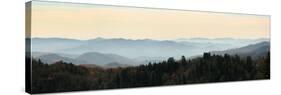 Clingmans Dome panorama, Smoky Mountains National Park, Tennessee, USA-Anna Miller-Stretched Canvas