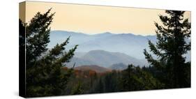 Clingmans Dome panorama, Smoky Mountains National Park, Tennessee, USA-Anna Miller-Stretched Canvas