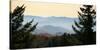 Clingmans Dome panorama, Smoky Mountains National Park, Tennessee, USA-Anna Miller-Stretched Canvas