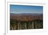 Clingmans Dome panorama, Smoky Mountains National Park, Tennessee, USA-Anna Miller-Framed Photographic Print