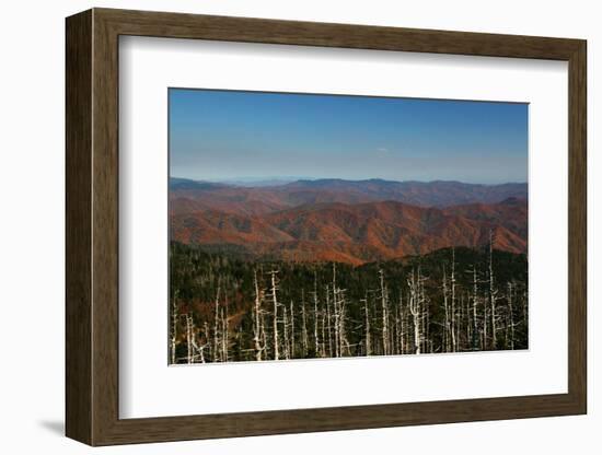 Clingmans Dome panorama, Smoky Mountains National Park, Tennessee, USA-Anna Miller-Framed Photographic Print