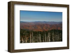 Clingmans Dome panorama, Smoky Mountains National Park, Tennessee, USA-Anna Miller-Framed Photographic Print