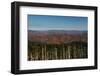 Clingmans Dome panorama, Smoky Mountains National Park, Tennessee, USA-Anna Miller-Framed Photographic Print