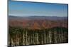 Clingmans Dome panorama, Smoky Mountains National Park, Tennessee, USA-Anna Miller-Mounted Photographic Print