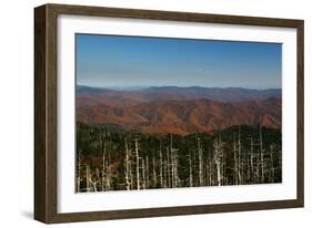 Clingmans Dome panorama, Smoky Mountains National Park, Tennessee, USA-Anna Miller-Framed Photographic Print