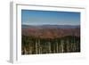 Clingmans Dome panorama, Smoky Mountains National Park, Tennessee, USA-Anna Miller-Framed Photographic Print