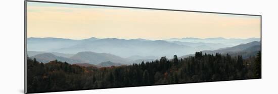 Clingmans Dome panorama, Smoky Mountains National Park, Tennessee, USA-Anna Miller-Mounted Photographic Print