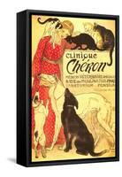 Clinique Cheron, Vet-null-Framed Stretched Canvas