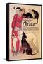 Clinique Cheron, Veterinary Medicine and Hotel-Th?ophile Alexandre Steinlen-Framed Stretched Canvas