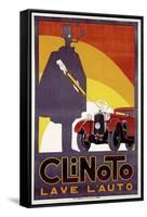 Clinoto-null-Framed Stretched Canvas