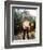 Clint Walker-null-Framed Photo