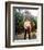 Clint Walker-null-Framed Photo