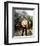 Clint Walker-null-Framed Photo