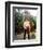 Clint Walker-null-Framed Photo