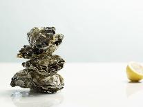 Tower of Oysters-Clinton Hussey-Photographic Print