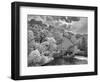 Clinton Mill Black And White-Steven Maxx-Framed Photographic Print