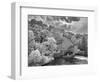 Clinton Mill Black And White-Steven Maxx-Framed Photographic Print