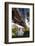 Clinton Presidential Park Bridge, Little Rock, Arkansas, USA-Walter Bibikow-Framed Photographic Print