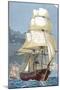 Clipper. 19Th Century. Colored Engraving.-Tarker-Mounted Giclee Print