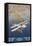 Clipper Plane over Italy-null-Framed Stretched Canvas