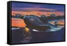 Canvas Black