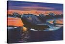 Stretched Canvas