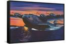 Canvas Black