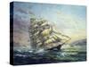 Clipper Ship Surprise-Nicky Boehme-Stretched Canvas