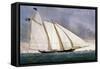 Clipper Yacht 'America'-Currier & Ives-Framed Stretched Canvas