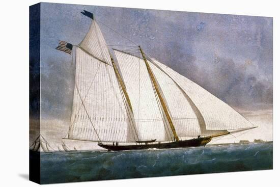 Clipper Yacht 'America'-Currier & Ives-Stretched Canvas