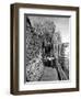 Clisson - Loire-Atlantique - Pays de la Loire - France-Philippe Hugonnard-Framed Photographic Print