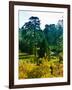 Clisson - Loire-Atlantique - Pays de la Loire - France-Philippe Hugonnard-Framed Photographic Print