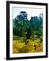 Clisson - Loire-Atlantique - Pays de la Loire - France-Philippe Hugonnard-Framed Photographic Print