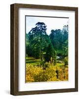 Clisson - Loire-Atlantique - Pays de la Loire - France-Philippe Hugonnard-Framed Photographic Print