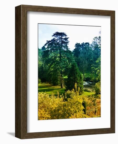 Clisson - Loire-Atlantique - Pays de la Loire - France-Philippe Hugonnard-Framed Photographic Print