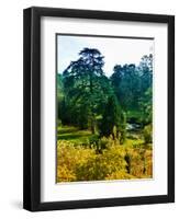 Clisson - Loire-Atlantique - Pays de la Loire - France-Philippe Hugonnard-Framed Photographic Print